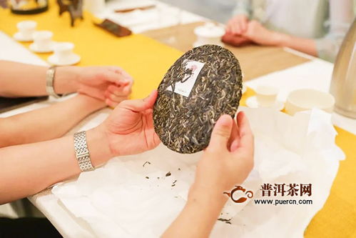 佳兆業(yè)興海茶2020年經(jīng)銷商大會(huì)暨年度新品發(fā)布會(huì) 鵬城啟航，共創(chuàng)茶葉代理與銷售新篇章
